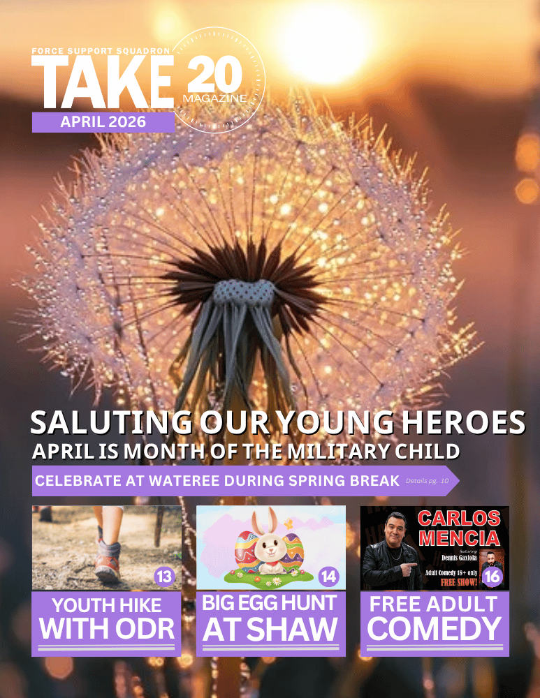 Current 20th FSS Magazine