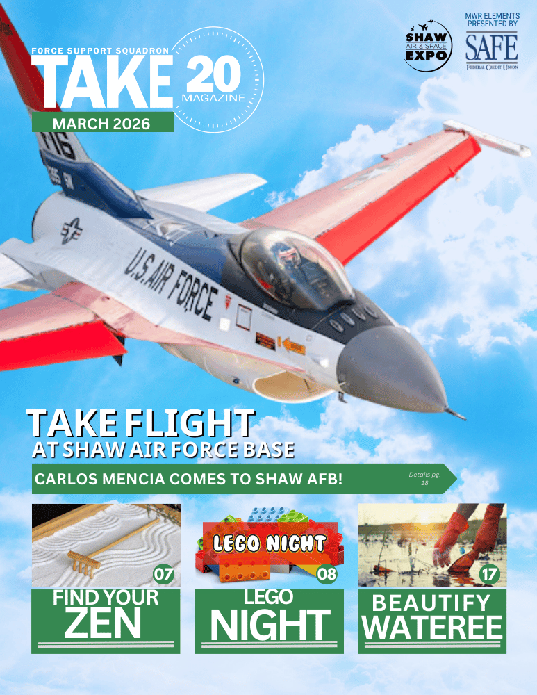 Current 20th FSS Magazine